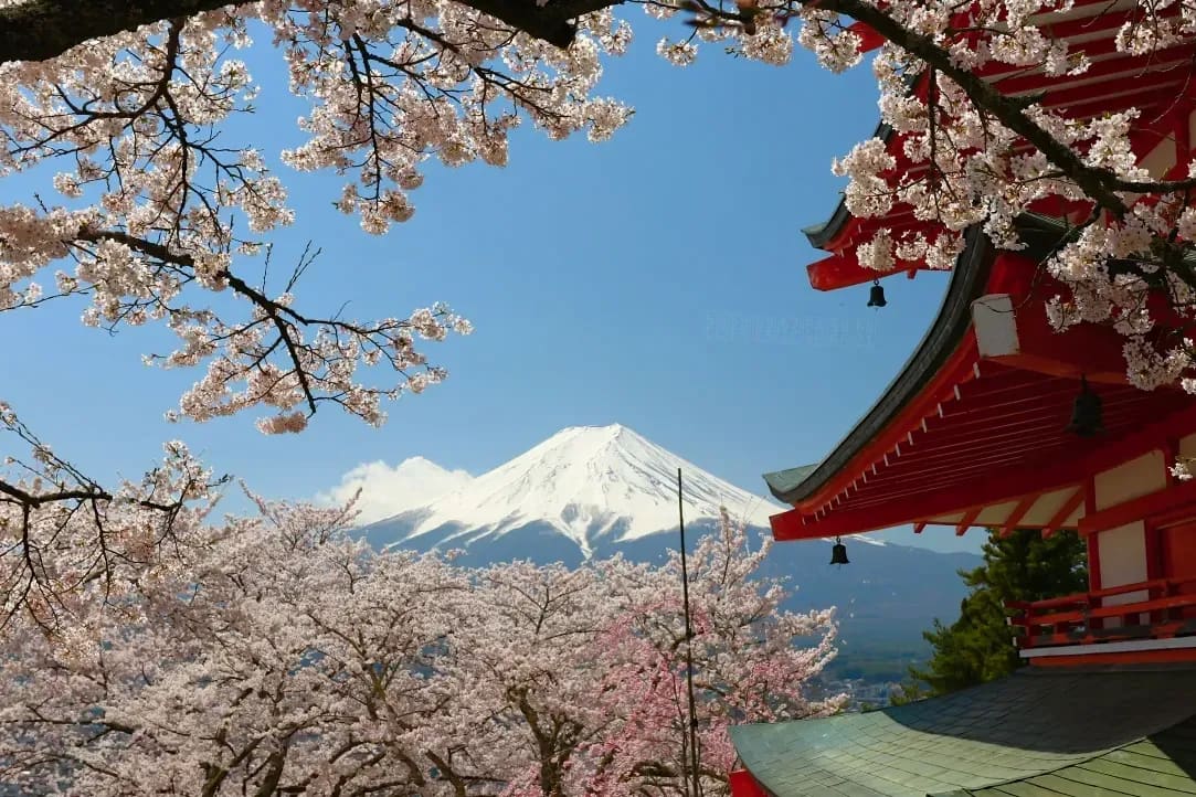 Fuji Japanese Language School