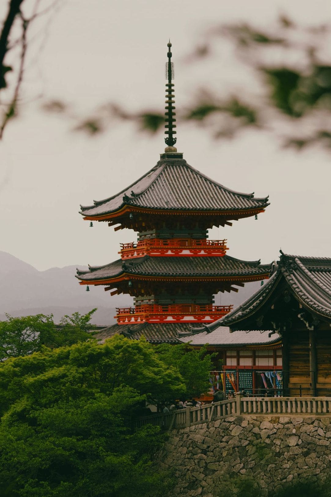 Fuji Japanese Language School 12